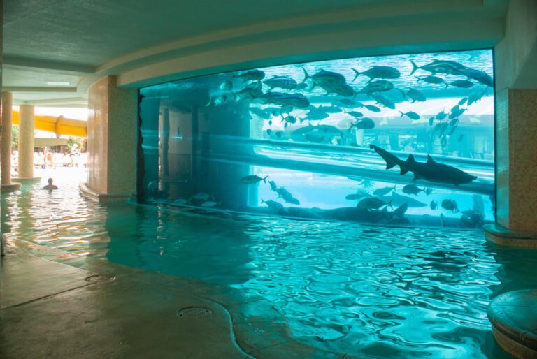 aquarium in las vegas hotel