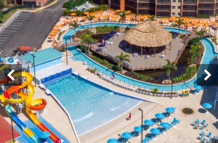 romantic hotel with water park in orlando