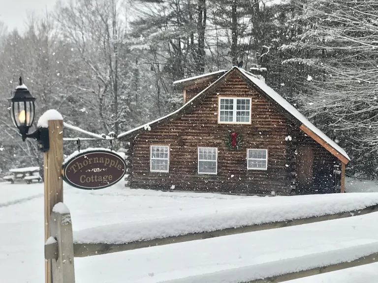 romantic log cabin in Vermont