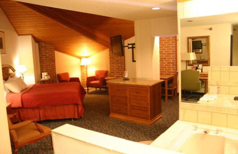 hotels in Michigan with suite for couples