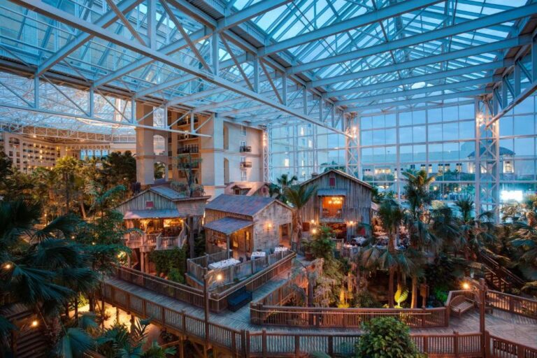 Gaylord Palms Resort & Convention Center3