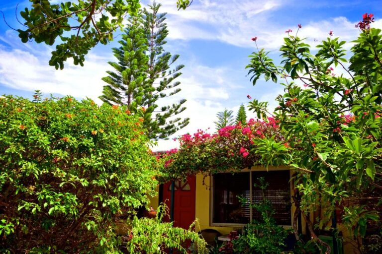 The Desoto - Oceanview Inn1