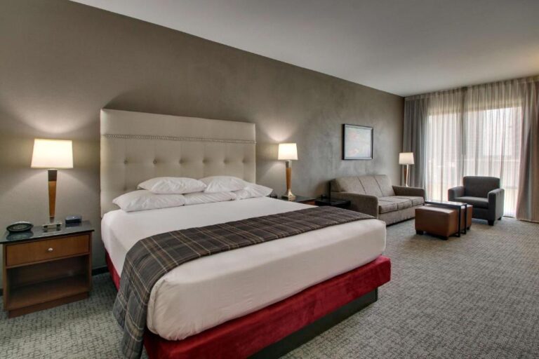 hotels in San Antonio with honeymoon suite 4
