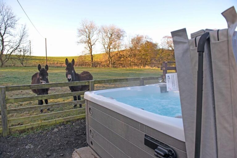 beautiful lodge with hot tub in Ayrshire