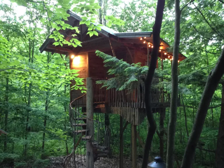 An Adirondack Tree House Retreat