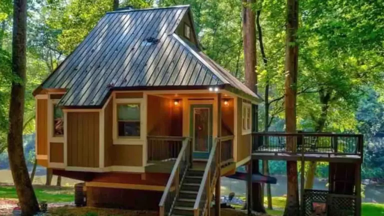 Chestatee Treehouse