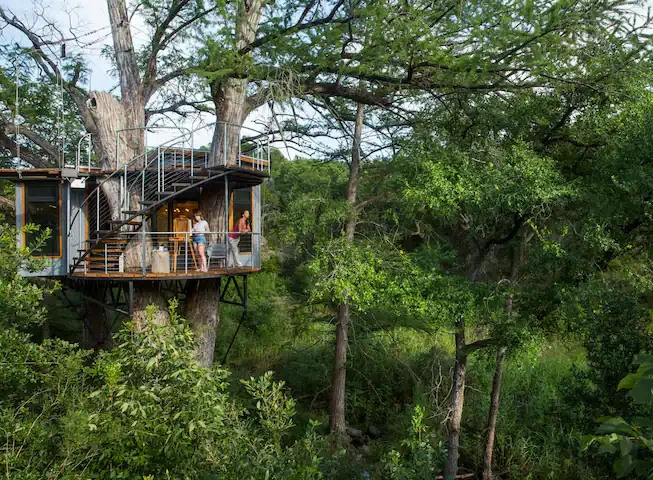 Yoki Treehouse in Texas