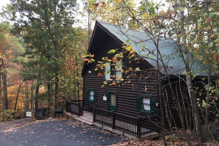 Cozy cabin in PERFECT location between Pigeon Forge and Gatlinburg