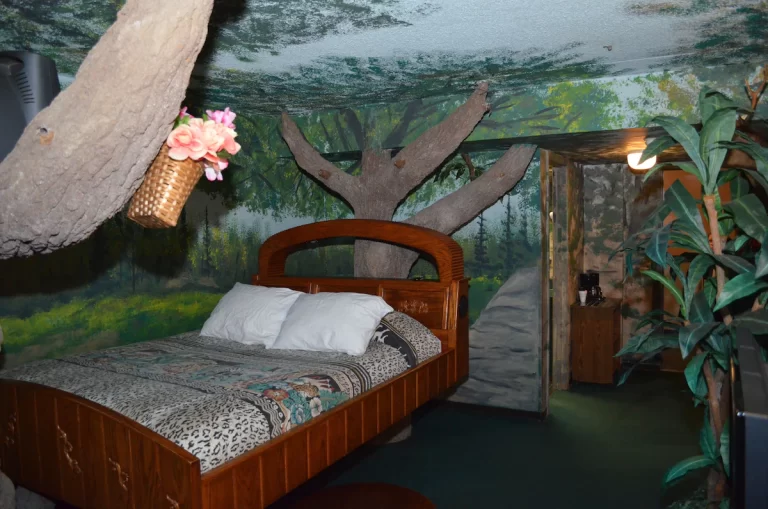 Fantasy suites Indiana-Red Carpet Inn Fanta Suites Hotel1