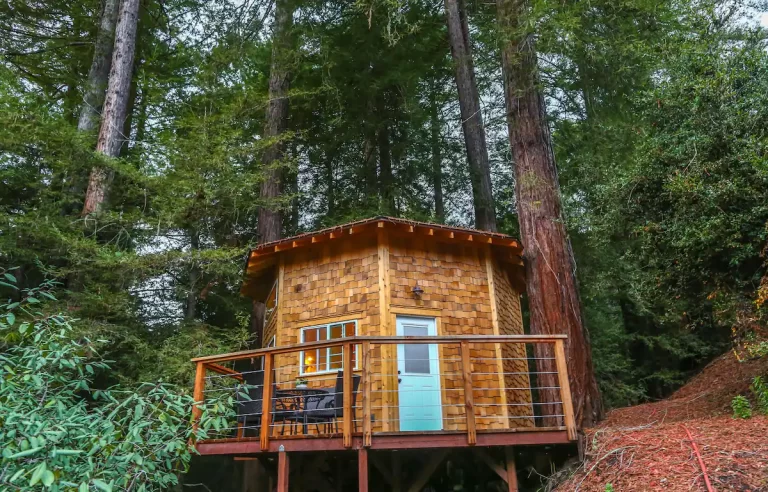 Redwood TreeHouse
