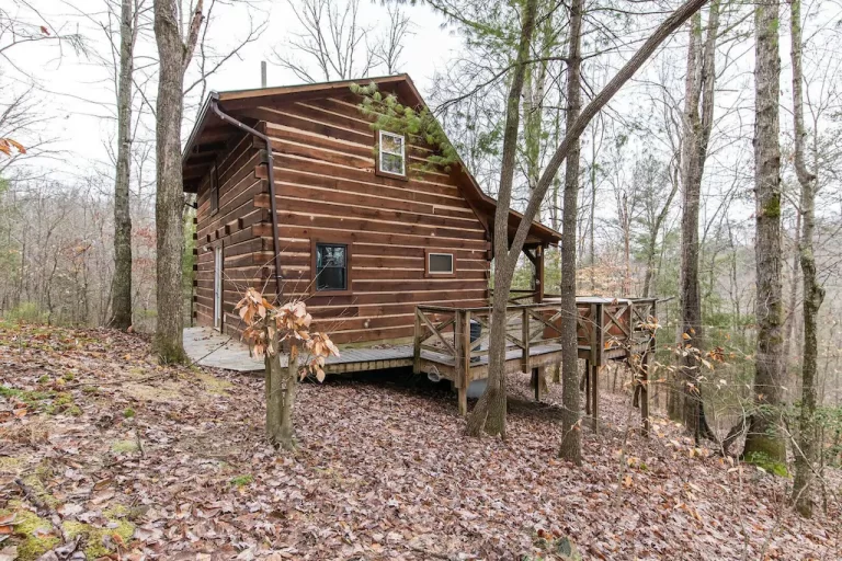 Small Family Cabin -