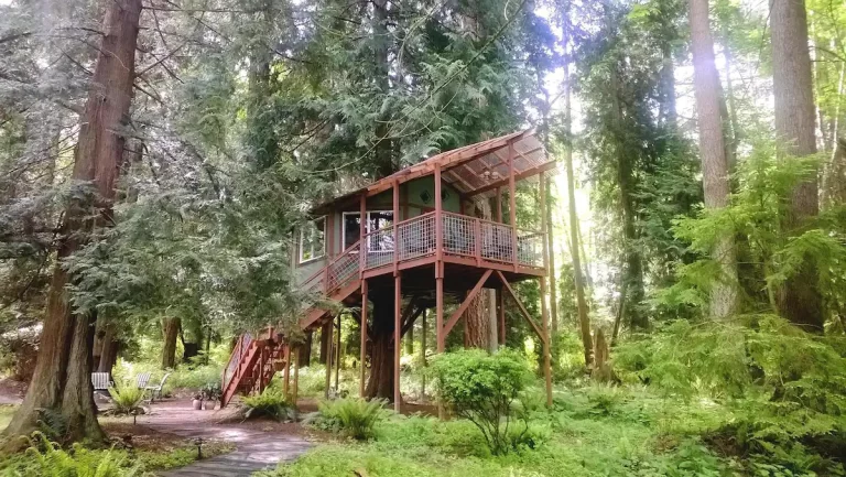 Tree House ~ Whidbey Island