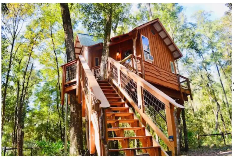 Treehouse Cabin Retreat
