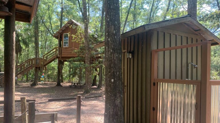 Treehouse Cabin Retreat2