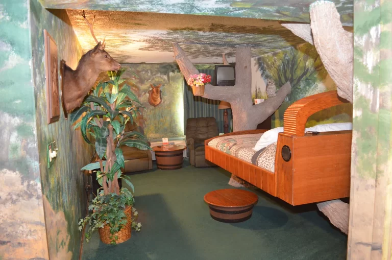 fantasy suites in indianapolis. Red carpet inn fantasuites