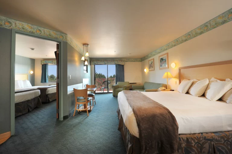 fantasy suites in wisconsin. Atlantis aFamily Waterpark Hotel 4