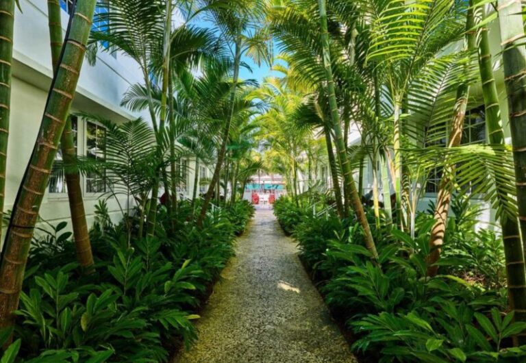 AxelBeach Miami South Beach boutique hotel