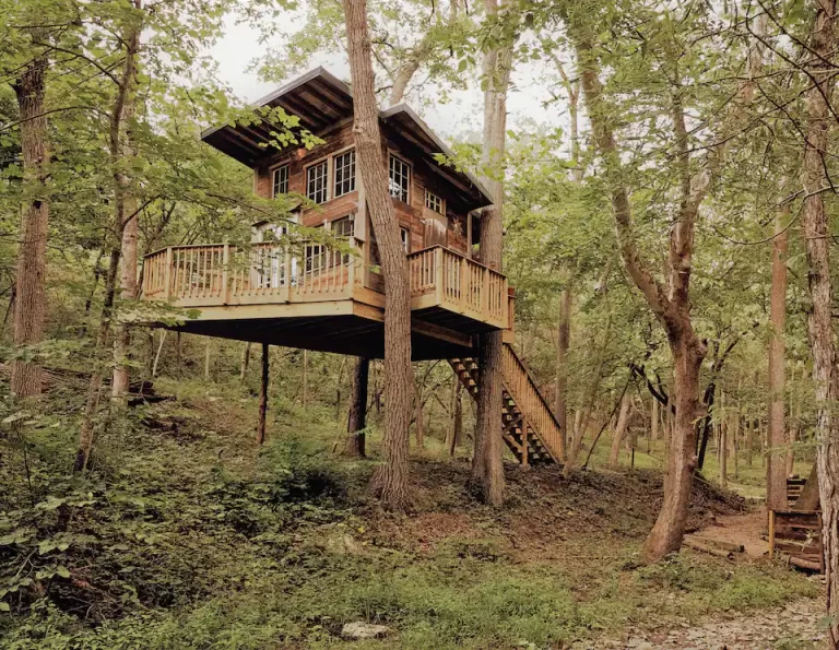 Robber's Roost Tree House