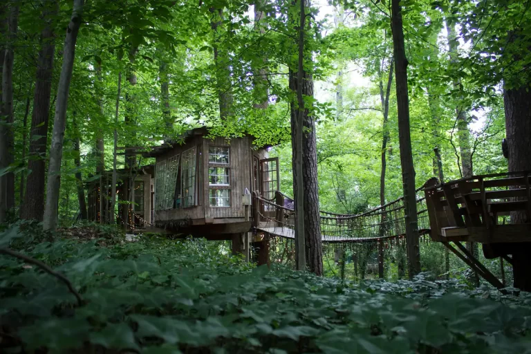 Secluded Intown Treehouse honeymoon suites at altanta
