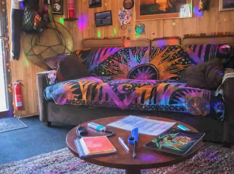 Themed Hotels in New Jersey. Hippy House 1