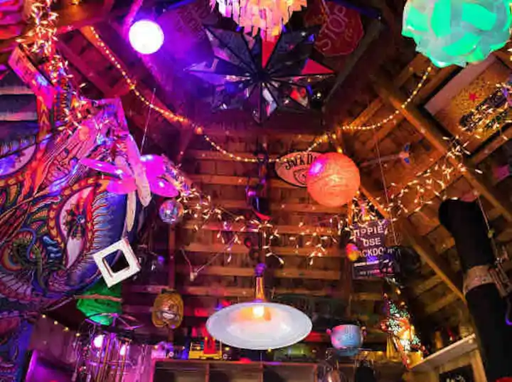 Themed Hotels in New Jersey. Hippy House