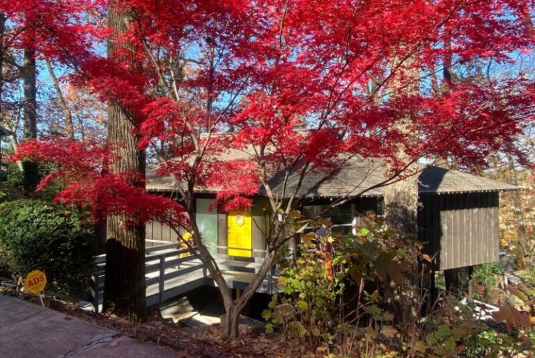 Treehouse cabin in Alabama Mid Century Modern