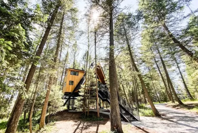 Treehouse cabins in Montana The Raven's Nest Treehouse 1