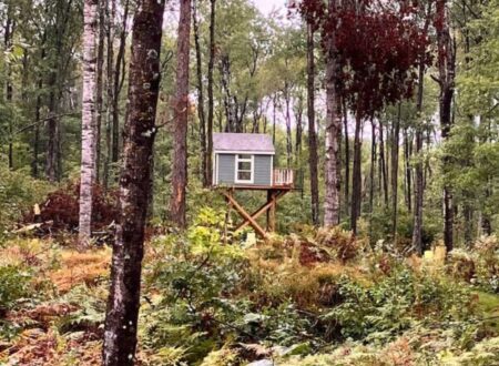 Treehouse cabins in Wisconsin Canopy Cabin