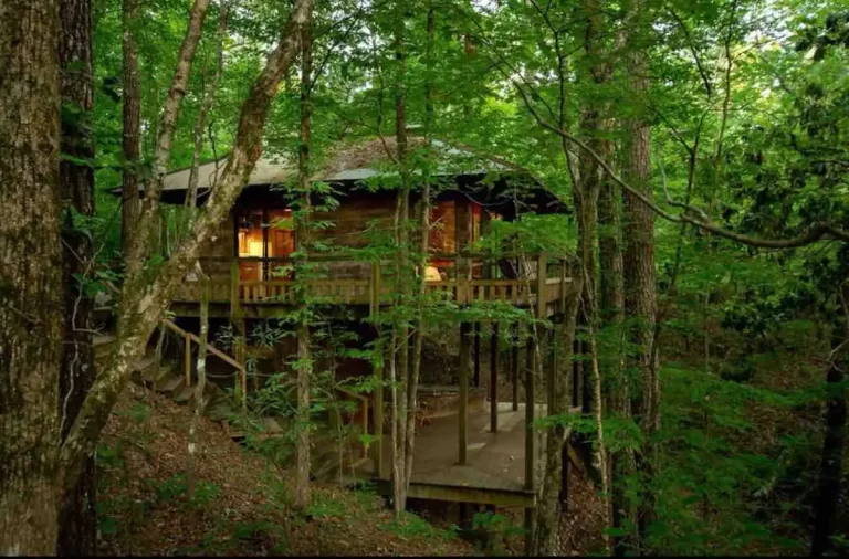 Treehouse cabins in mississippi Thunder Ridge