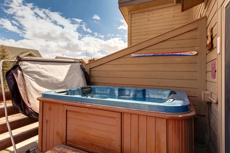 Charming Bear-Themed Home Salt Lake City hot tub