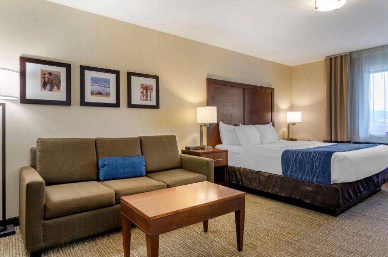 Comfort Inn Bozeman - King Room