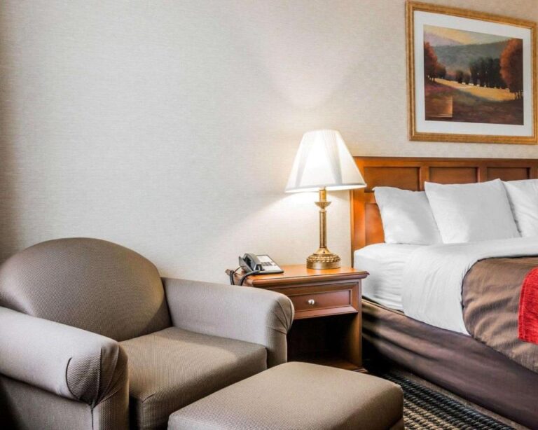 Comfort Inn Utica near Macomb - premium king room 2