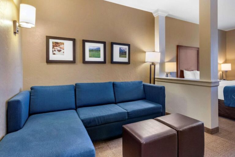 Comfort Suites Airport-University - King Suite
