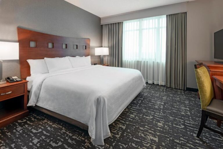 Embassy Suites - Premium King Suit