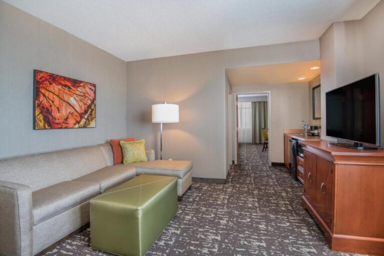 Embassy Suites - Premium King Suite 2