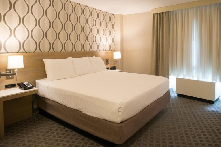 Radisson Hotel Duluth - Premium King Room with Lake View