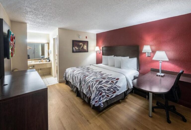 Red Roof Inn Orlando South - Superior King Room with Spa Bath 2