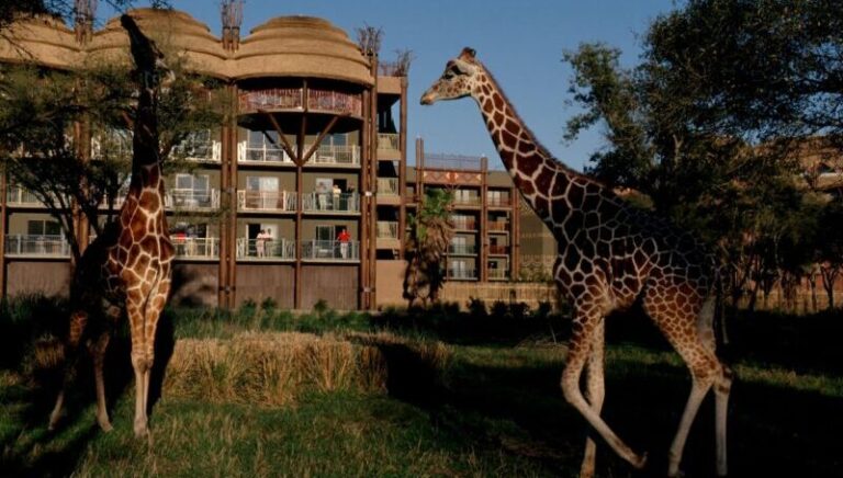 Themed Hotels in Disney World. Animal Kingdom Lodge.2