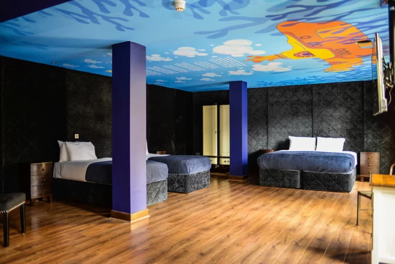 Themed Hotels in Liverpool. Arthouse.1