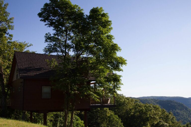 Treehosue cabin in Arkansas Canyon View Treehouse1