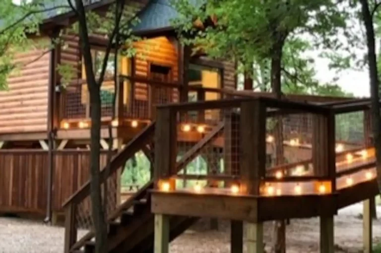 Treehosue cabin in Texas Southern Dream1