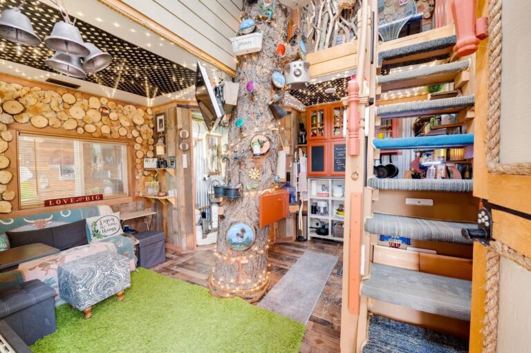 Treehouse cabin in Colorado Magic 3