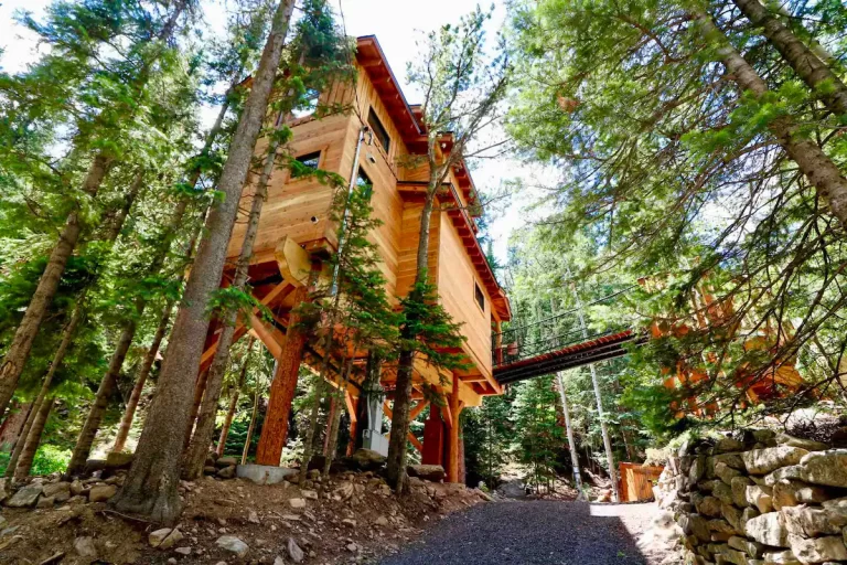 Treehouse cabin in Colorado The Ultimate TREEHOUSE