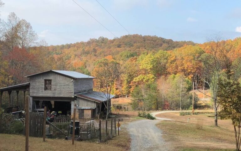 Treehouse cabin in Georgia6 Ponds Farm Treehouse1