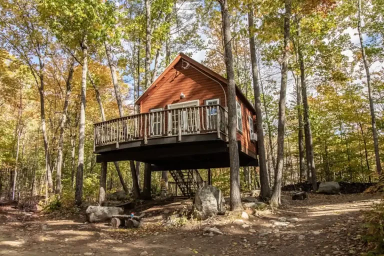 Treehouse cabin in New England The Spruce Suite