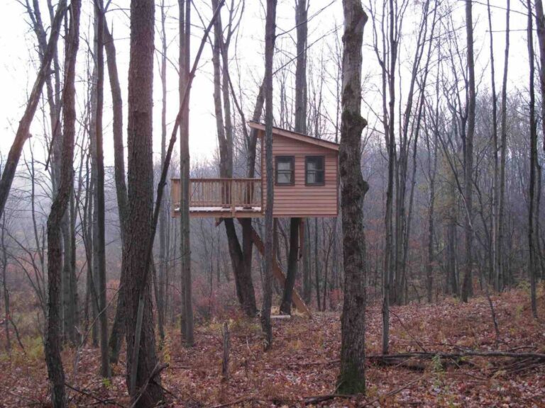 Treehouse cabin in Pennsylvania Adventure1