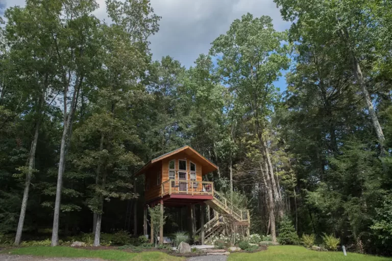 Treehouse cabin in Pennsylvania Cottage in the Woods