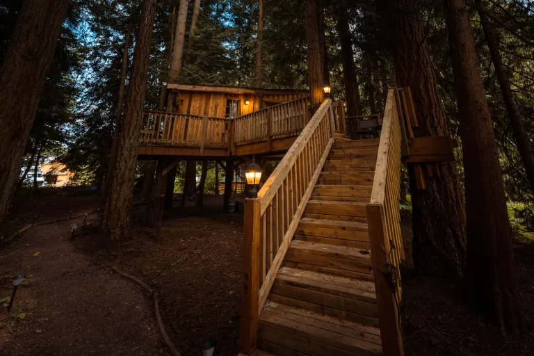Treehouse cabin in Washington Overnight treehouse