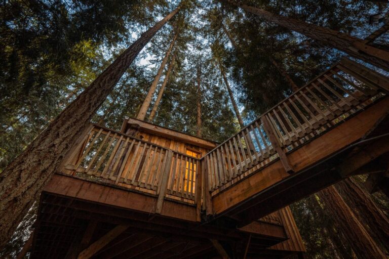Treehouse cabin in Washington Overnight treehouse3