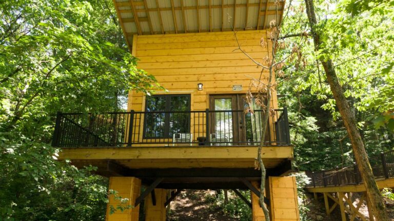 Treehouse in Missouri The River Birch Treehouse 1